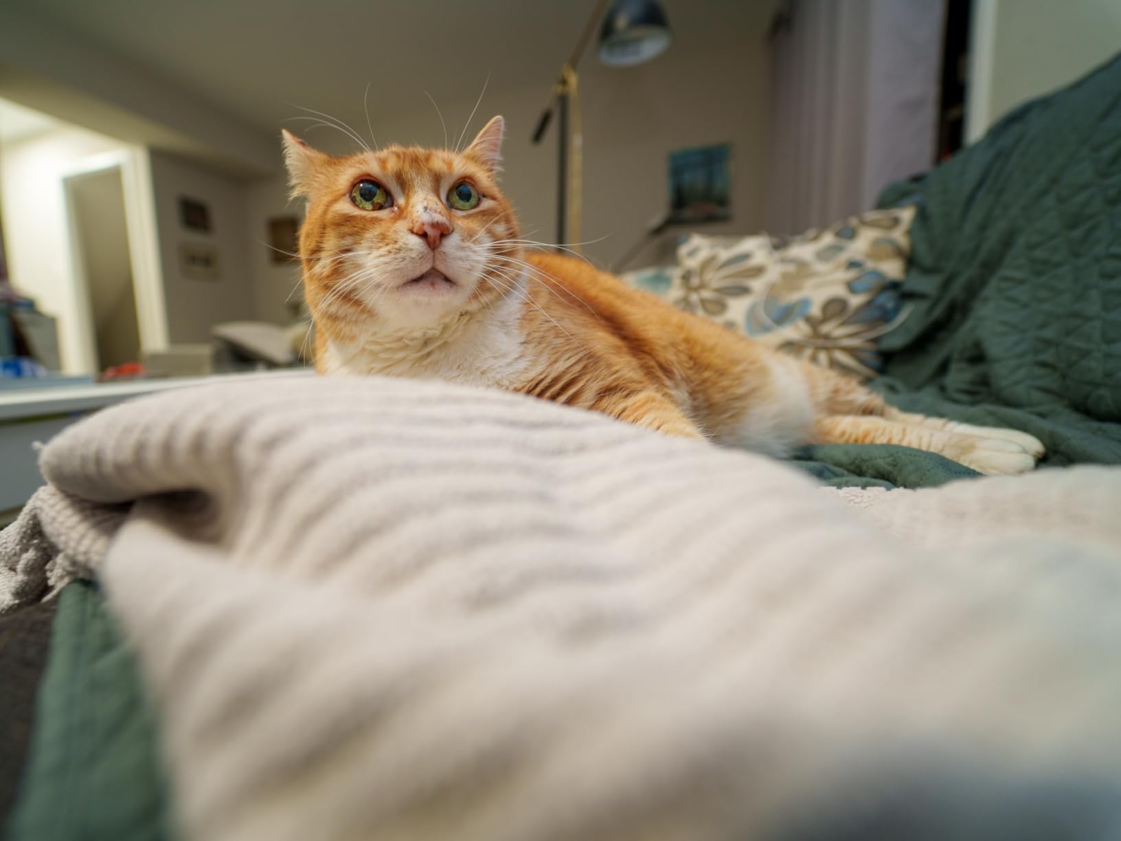 V100 S GODOX Flash for Sony - Global Shutter,Touchscreen Control,100W TTL Camera Flash GODOXV1 for Sony Upgraded,70 Full Power Consecutive Flashes, Camera Flash for a7iii etc customer photo 2