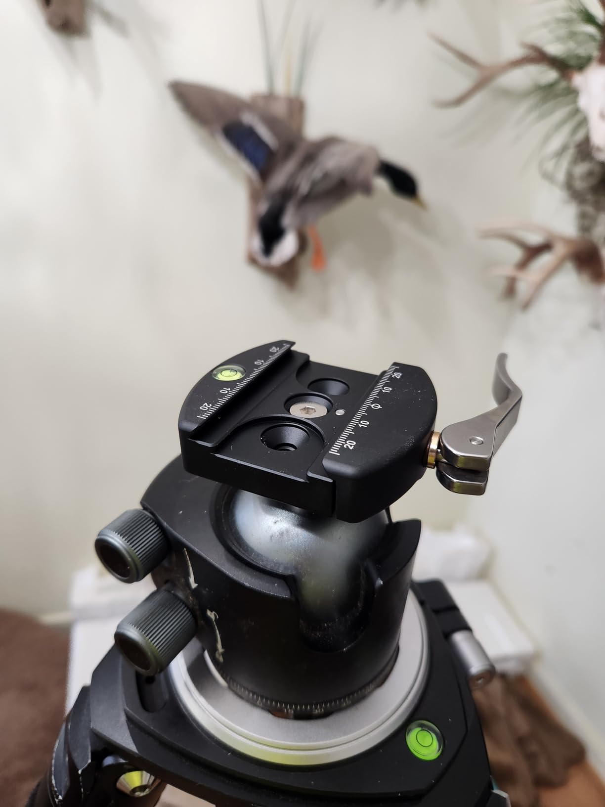 60mm Arca Swiss Quick Release Lever Clamp, 2501 customer photo 1