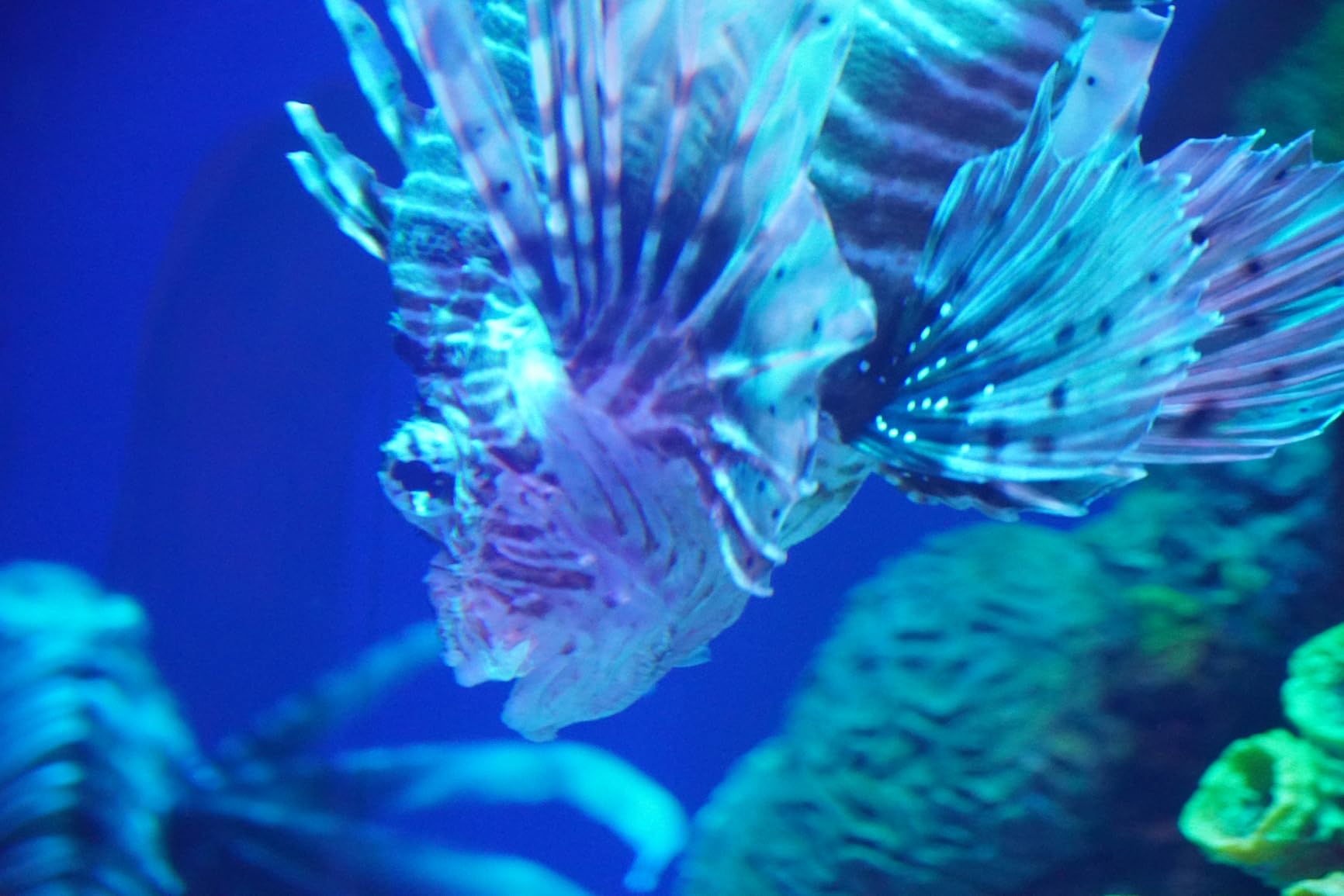 Sony Alpha a6400 Mirrorless Camera with E PZ 16-50mm f/3.5-5.6 OSS II Lens, Black customer photo 2