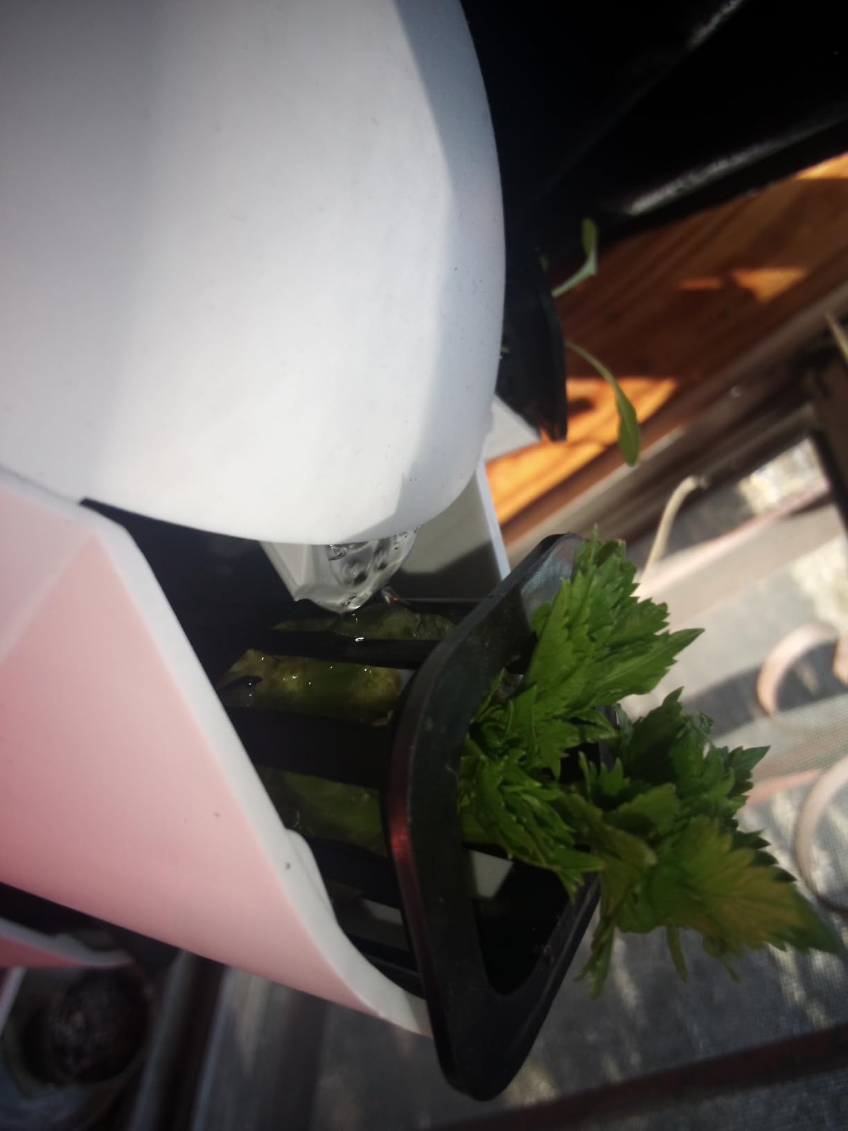 VEVOR Hydroponic Growing System with Grow Light, 30 Pods Vertical 6 Tiers Hydroponic Tower, Home Hydronic Garden with Water Pump, Plants Germination Kit for Indoor Herbs, Fruits and Vegetables customer photo 1