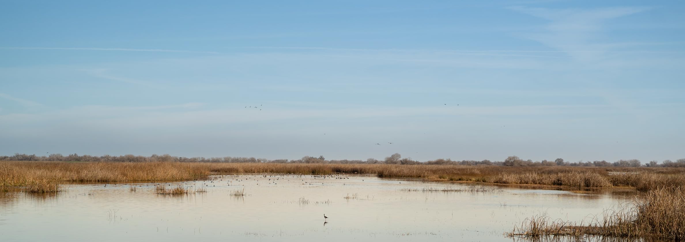 VILTROX 50mm F2 Full Frame Lens for Sony, AF 50mm f/2.0 FE Standard Prime Lens for Sony e Mount, FE Ultra-Compact e Mount Lens for A7RV ZVE1 A7CR A7CII a7Ⅳa7RⅣ a6500 a6600 customer photo 1