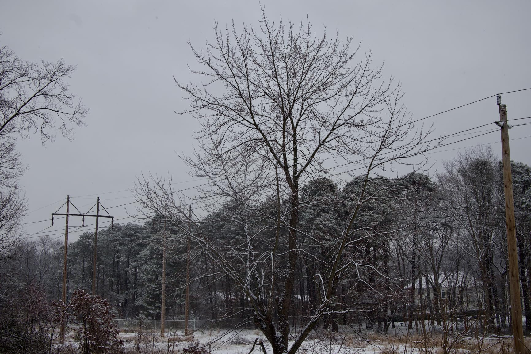 Canon EOS R50 V Mirrorless Camera (Body Only) - APS-C Digital Camera, Flip Screen 4K Video, Interchangeable Lens Camera for Vlogging customer photo 1