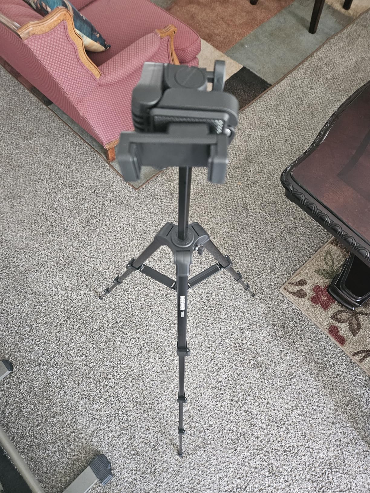 NEEWER Entry Level Version Tripod for Cell Phone & Camera, Metal Lightweight Portable Travel Stand with Cold Shoe Cellphone Holder Mount Compatible with iPhone for Video Recording Filming, TP53 customer photo 1