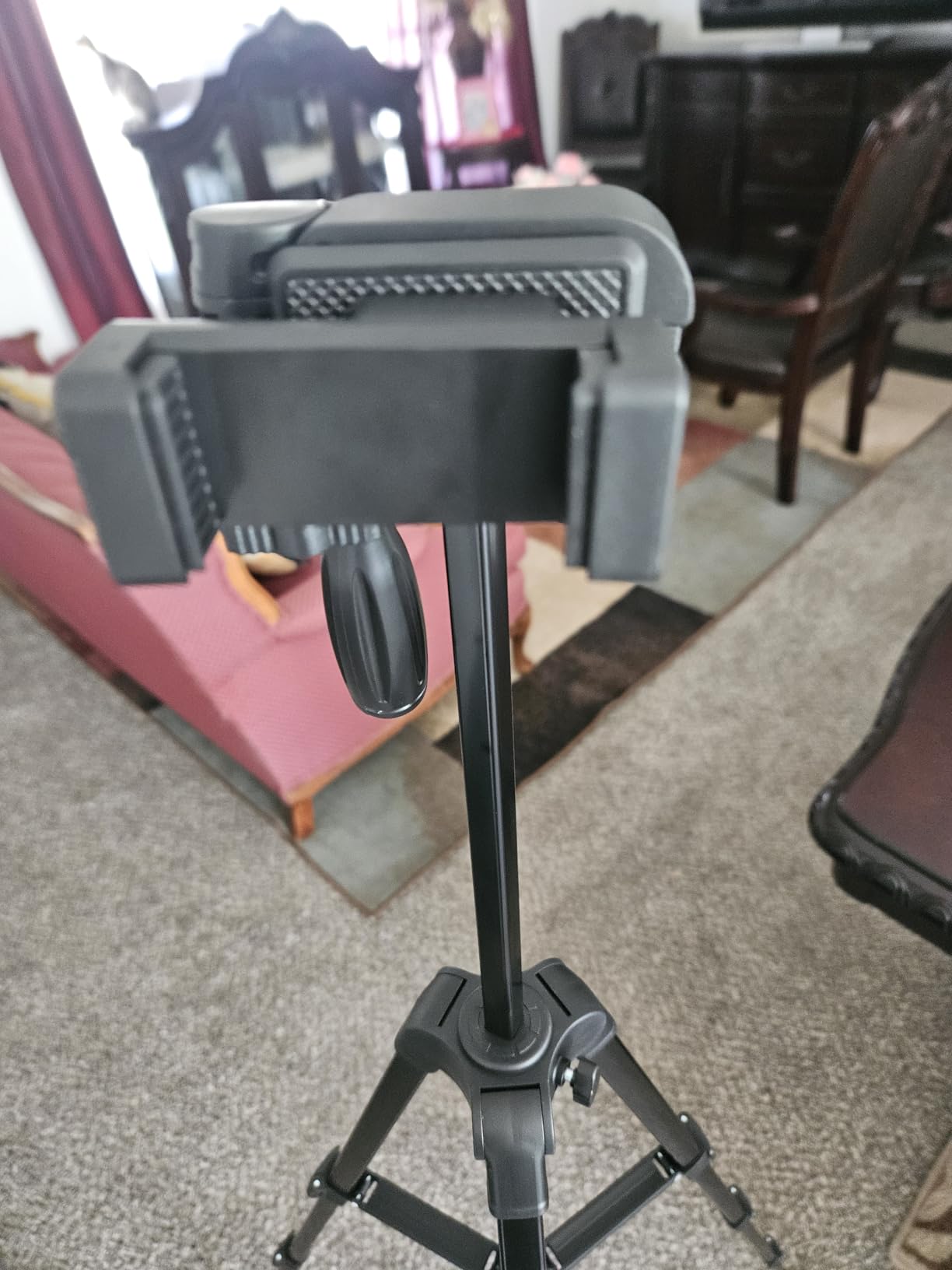 NEEWER Entry Level Version Tripod for Cell Phone & Camera, Metal Lightweight Portable Travel Stand with Cold Shoe Cellphone Holder Mount Compatible with iPhone for Video Recording Filming, TP53 customer photo 2