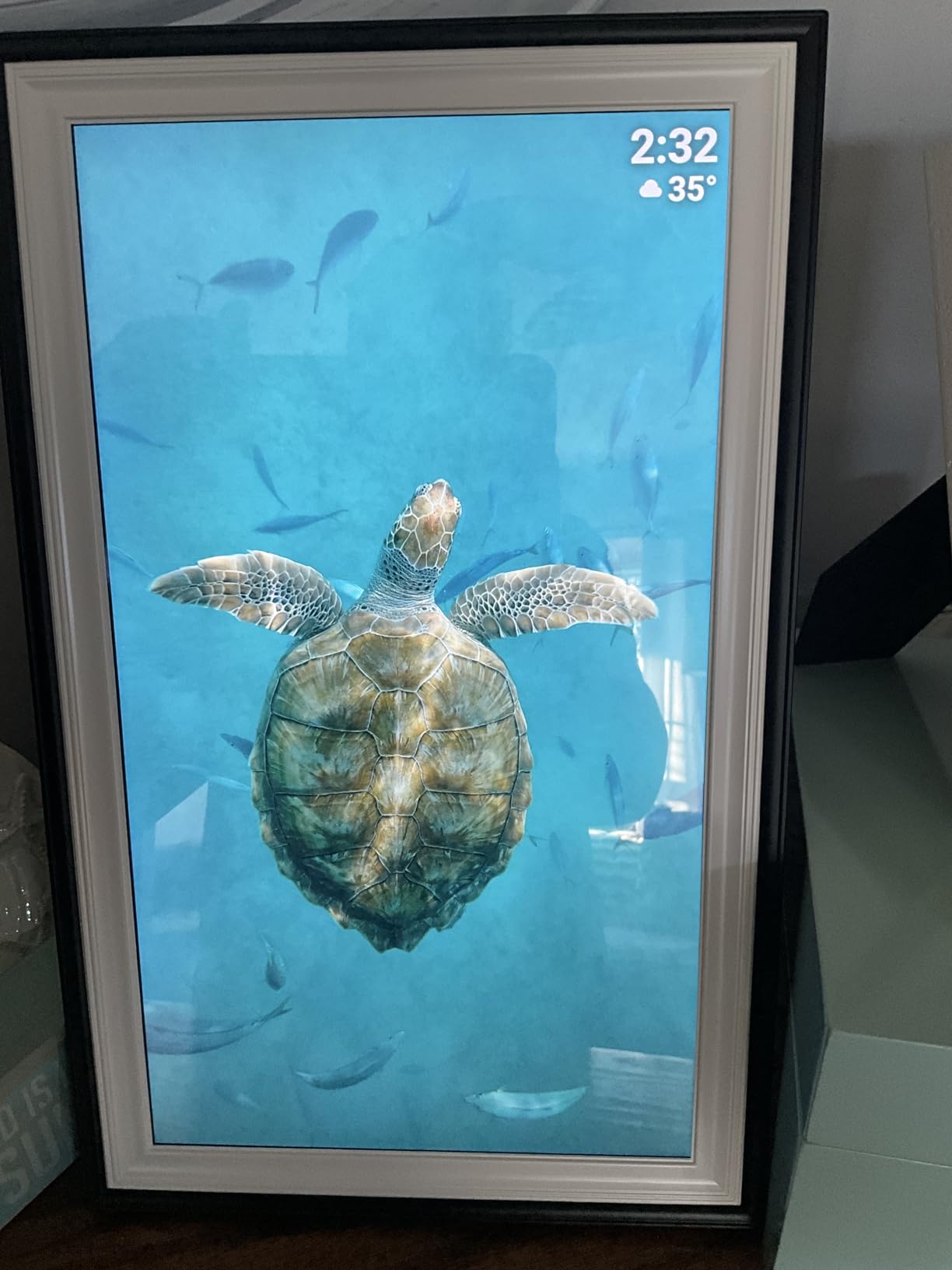 BIGASUO Digital Picture Frame Frameo 15.6