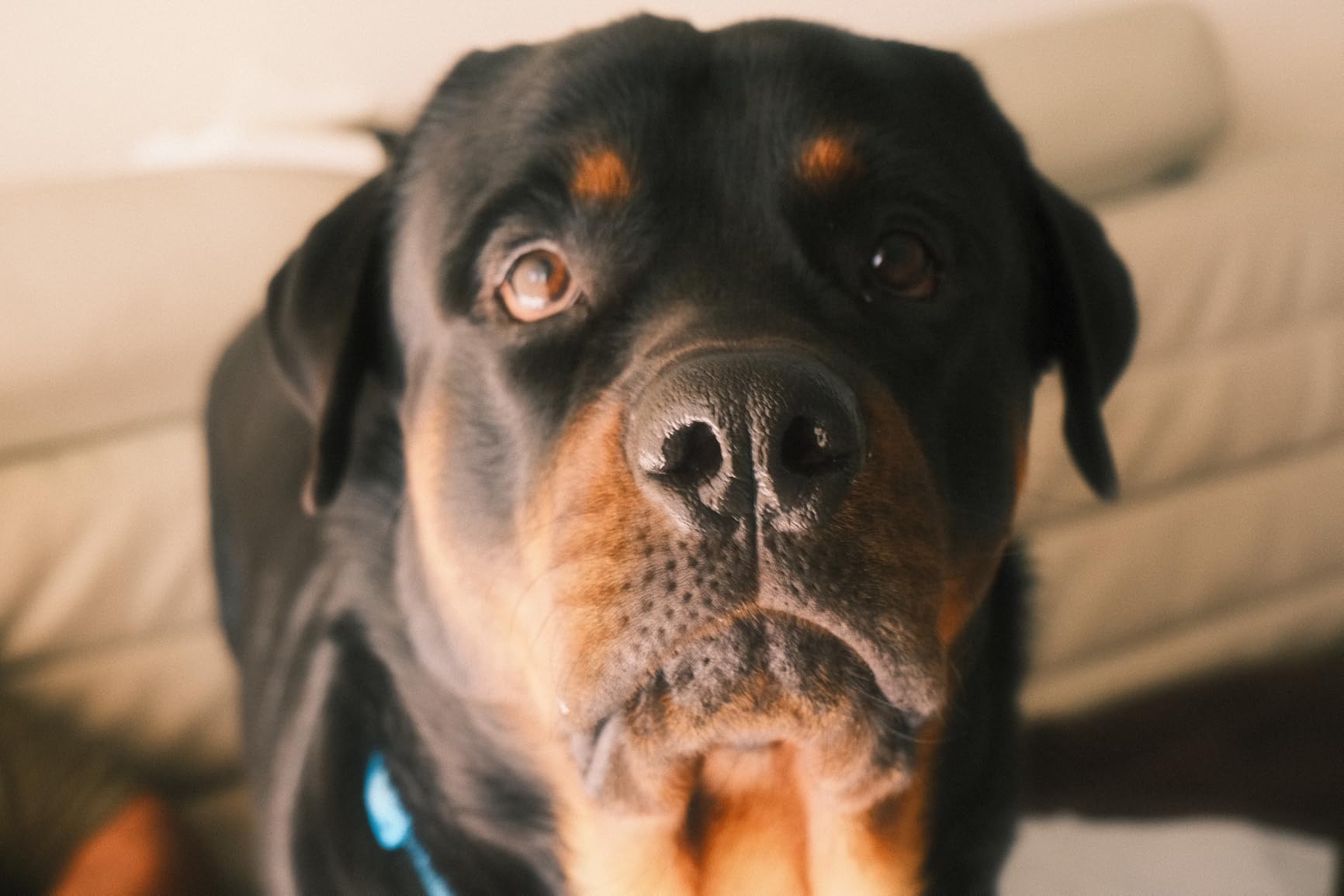 FUJIFILM X-M5 Mirrorless Digital Camera XC15-45mmF3.5-5.6 OIS PZ Lens Kit - Black customer photo 1