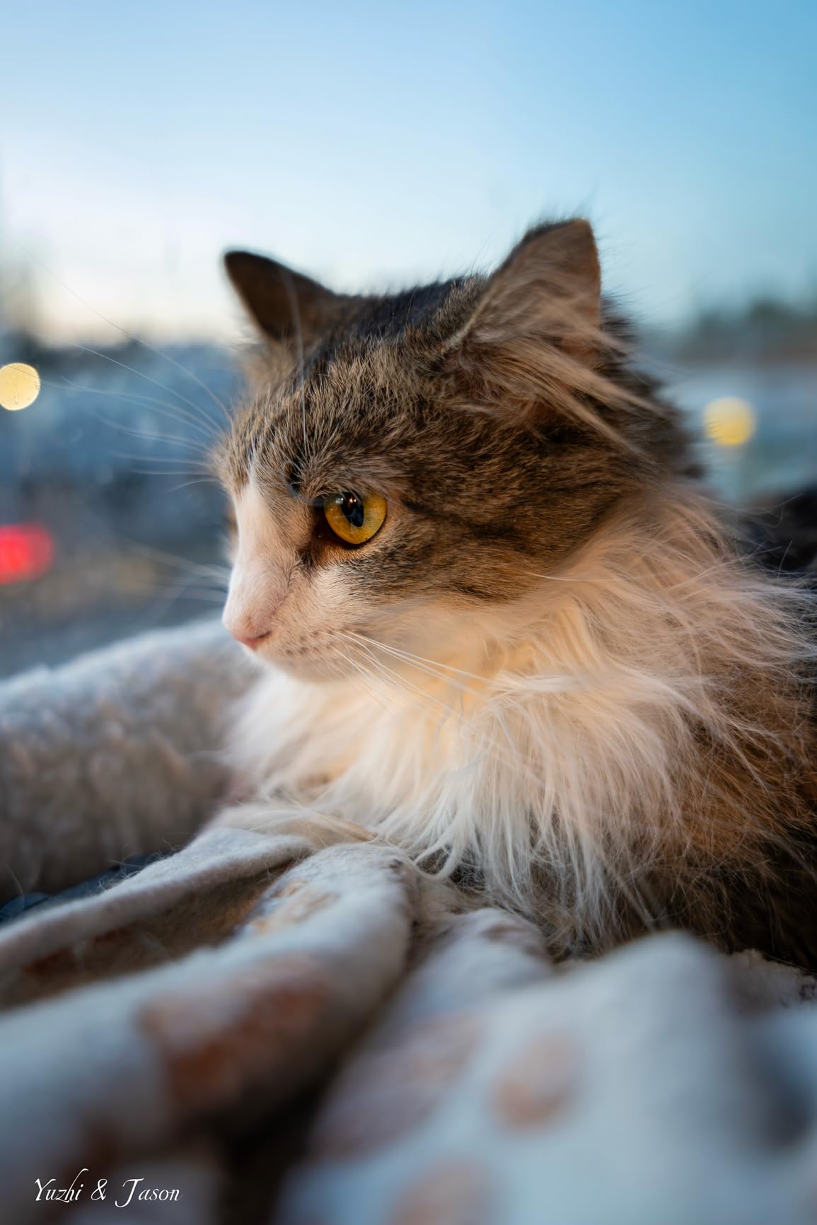 Sigma 17-40mm F1.8 DC | Art for Sony E, Black customer photo 2