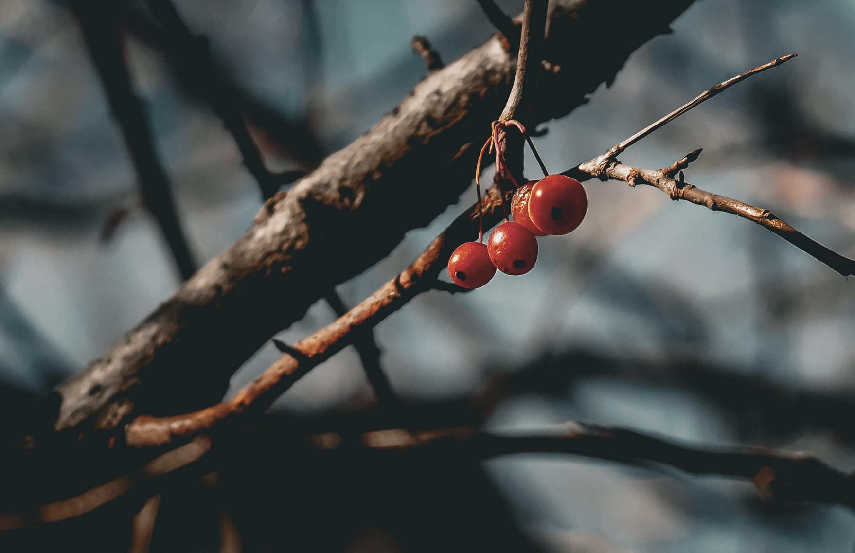 OM SYSTEM OM-5 Mark II SLV w/M.ZUIKO Digital 14-150mm f4.0-5.6 II Compact Light Weight Weather Sealed 4K Video Camera Best for Outdoor Travel customer photo 1