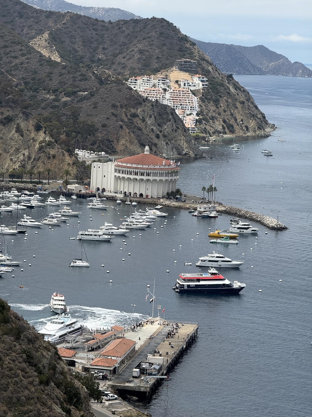 8K Digital Camera with 88MP and 3 inch 180 degree Flip Screen - 18X Zoom Auto Focus Vlogging Camera for YouTube Photography, Includes 32GB SD Card and 2 Batteries customer photo 1