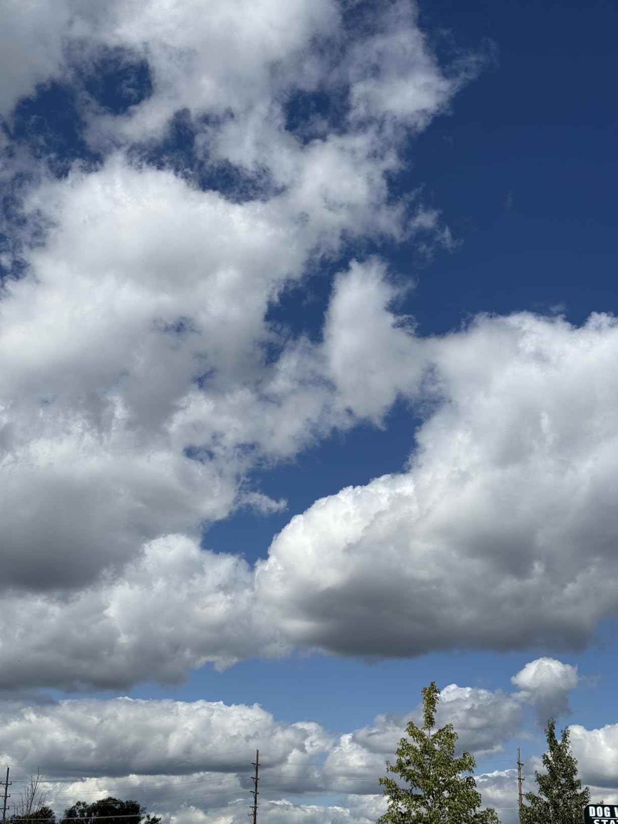 8K Digital Camera with 88MP and 3 inch 180 degree Flip Screen - 18X Zoom Auto Focus Vlogging Camera for YouTube Photography, Includes 32GB SD Card and 2 Batteries customer photo 2