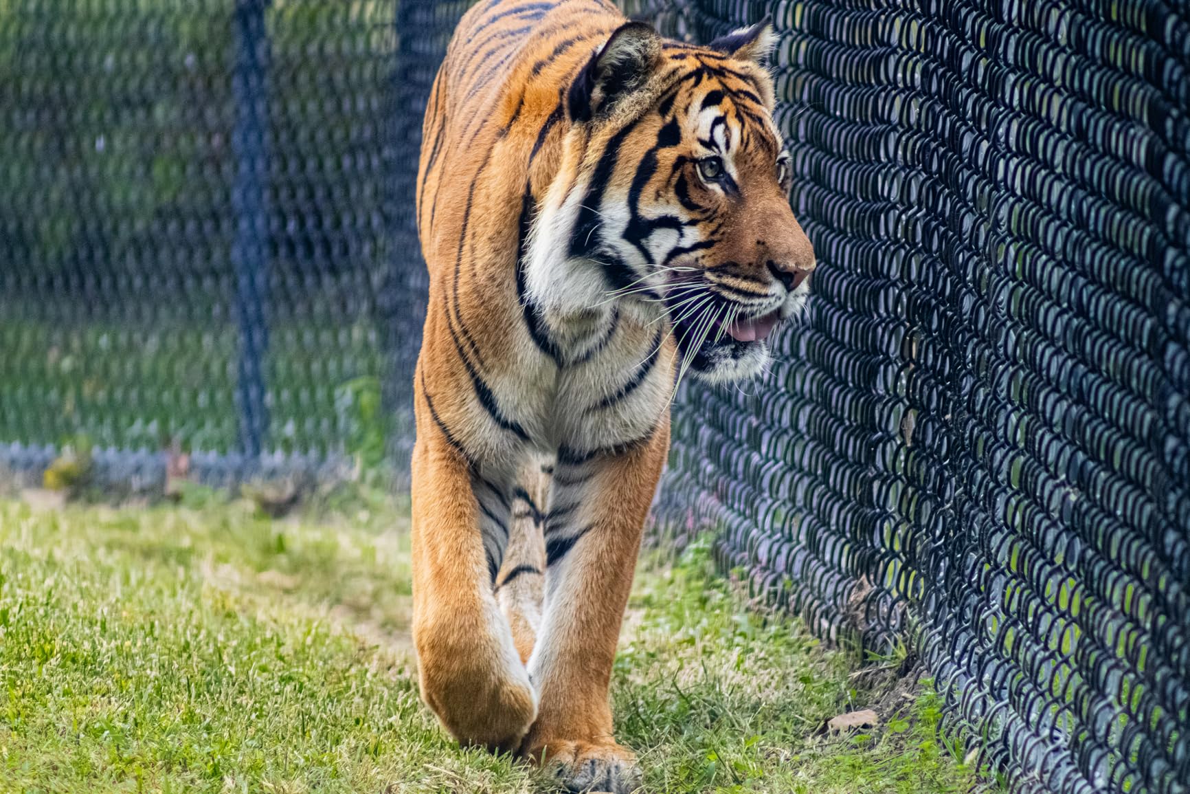 RF 75-300mm f/4-5.6 Lens customer photo 1