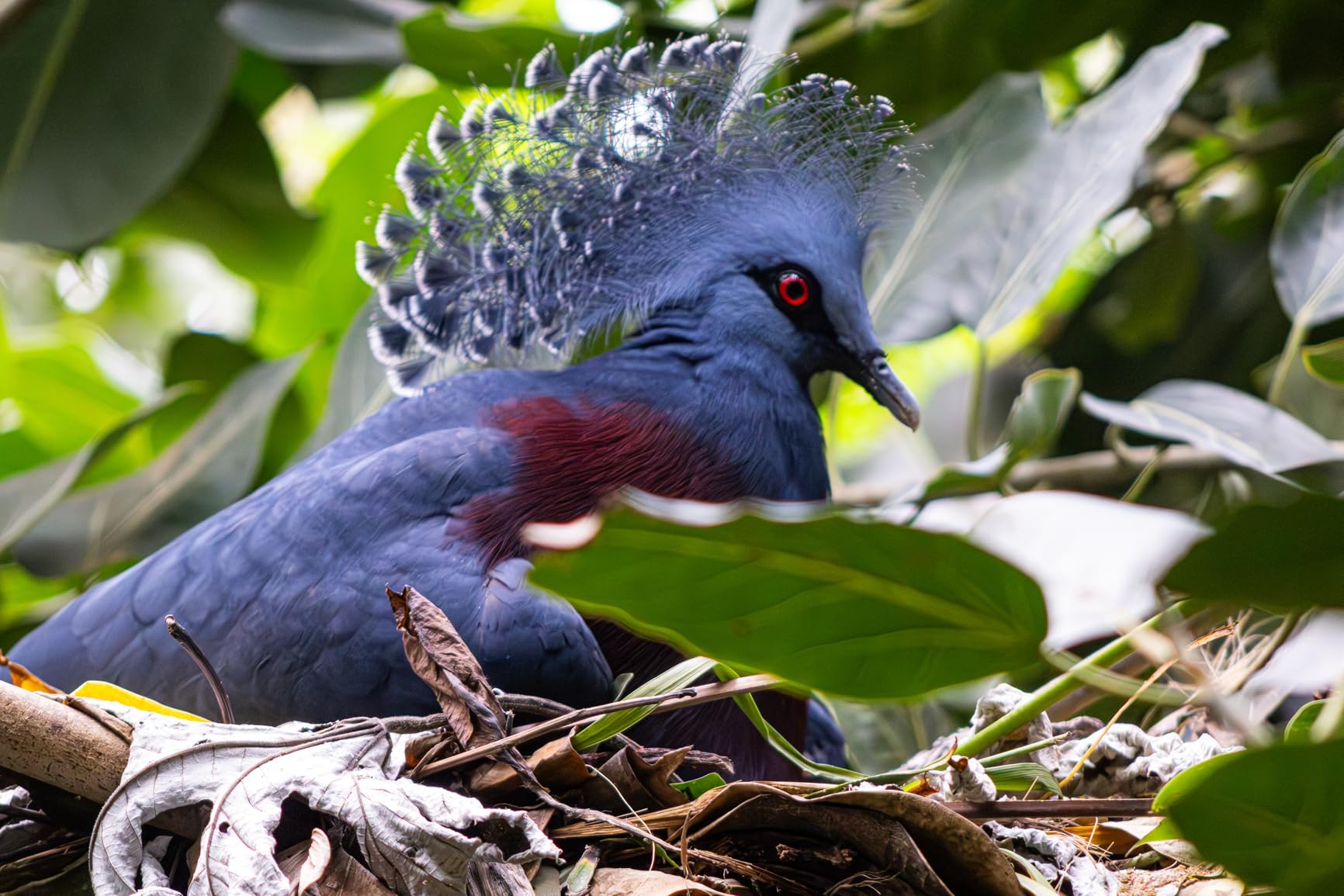 RF 75-300mm f/4-5.6 Lens customer photo 2