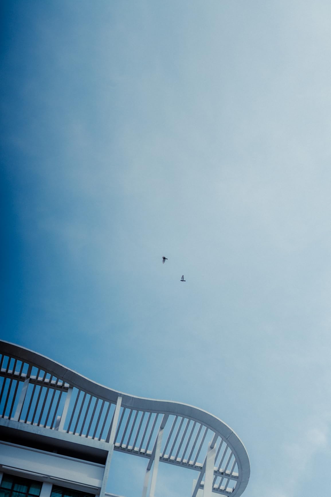 Meike 35mm F1.8 Full Frame AF STM Lens Wide Angle Auto Focus Fixed Prime Portrait Lenses for Sony E Mount customer photo 2