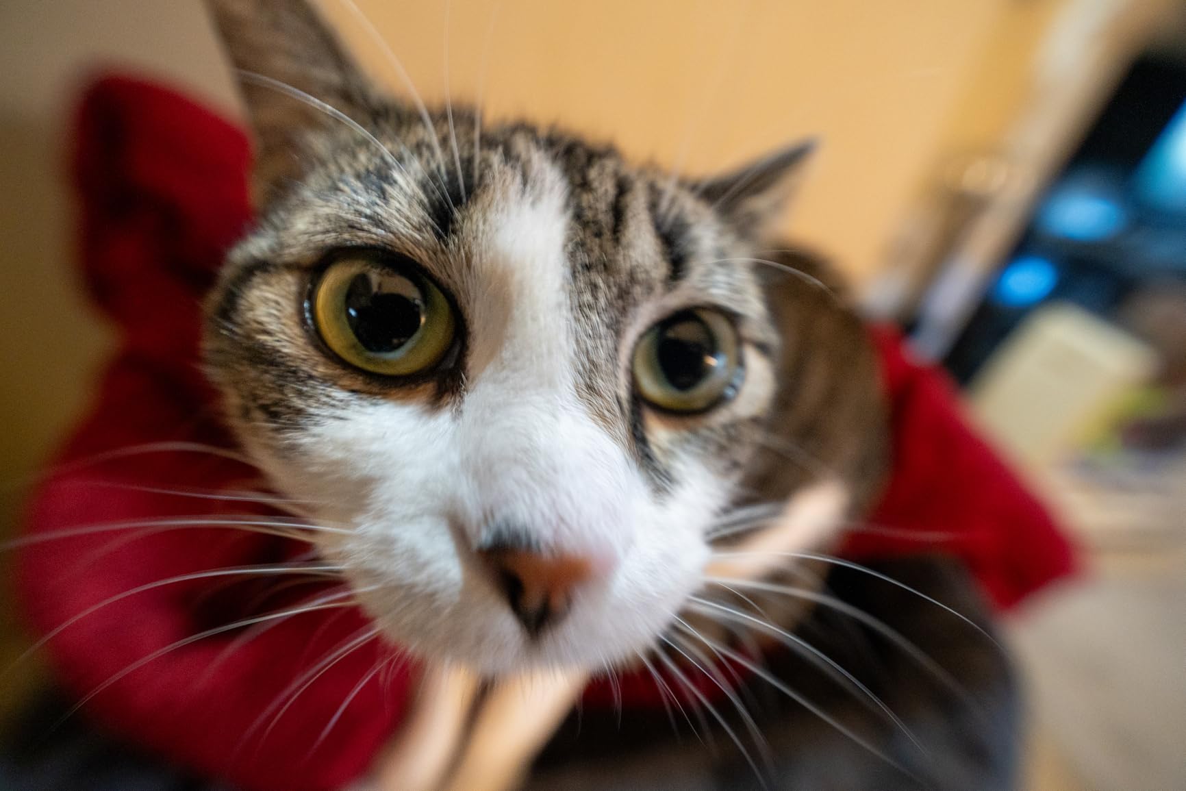 VILTROX 9mm F2.8 E, AF 9mm F2.8 E Mount Lens for Sony E, APS-C Prime Wide Angle Lens for Sony a6400 a6500 a6600 ZV-E10 FX30 a93 ZV-E10II a7Ⅲ a7RⅢ a7Ⅳ a7RⅣ a7CII customer photo 2