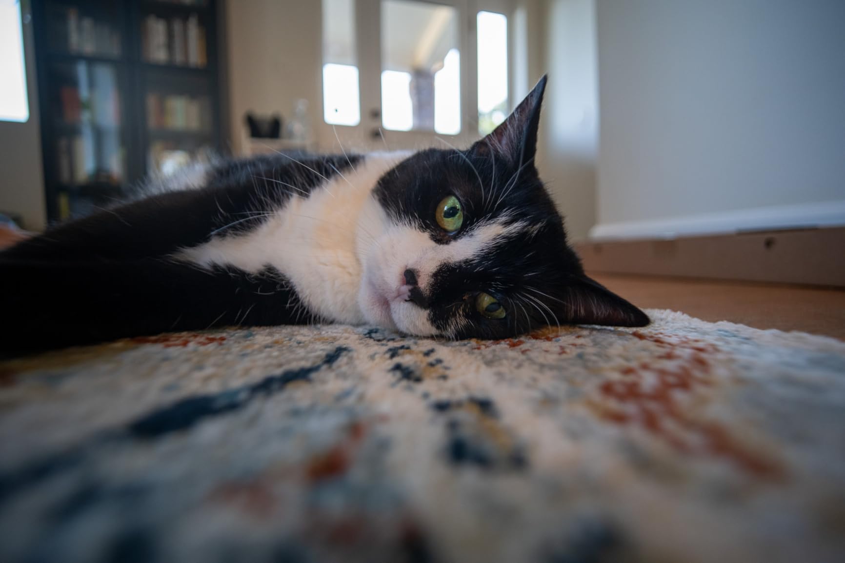 TTArtisan 14mm F2.8 Full Frame Manual Camera Lens for Nikon Z customer photo 2