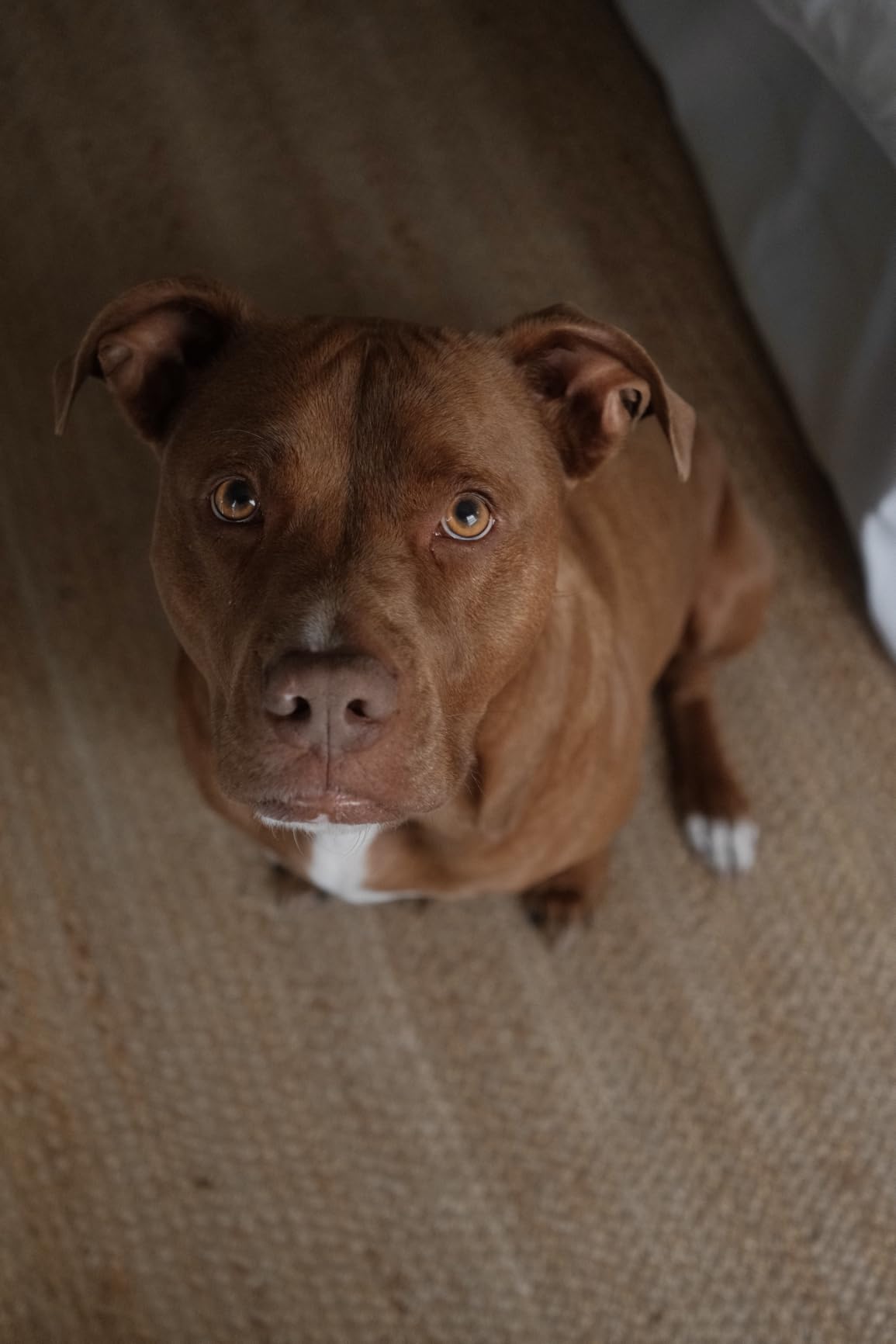 Fujifilm X-T30 III Mirrorless Camera Body, Charcoal Silver customer photo 2