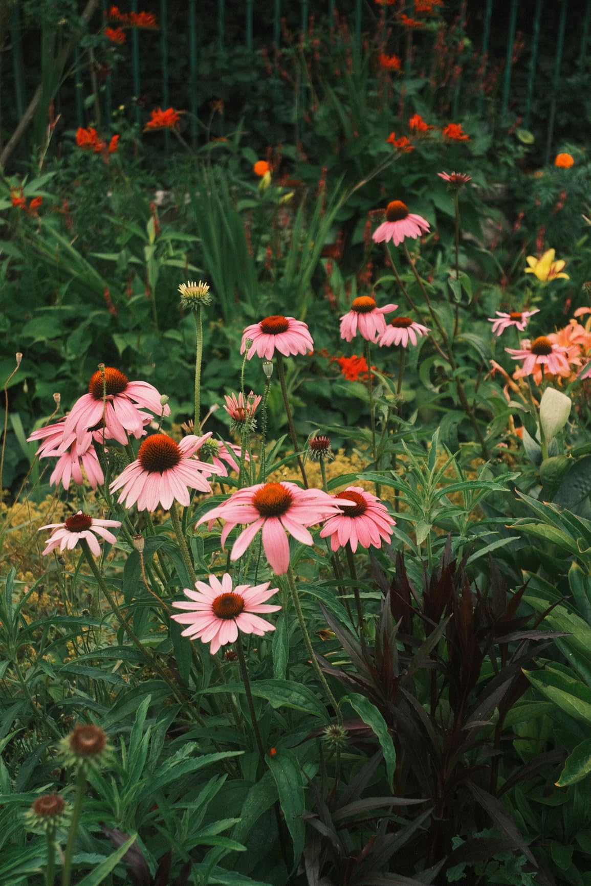 VILTROX 9mm F2.8 XF-Mount APS-C Lens for Fuji, Ultra-Wide Auto Focus Prime Lens for Fujifilm Fuji X-Mount Cameras X-E4 X-E5 X-H1 X-Pro3 X-S10 X-T4 X-T30 XT30II X-T200 X-H2 X-H2S X-T5 X-S20 X-T50 X-M5 customer photo 2