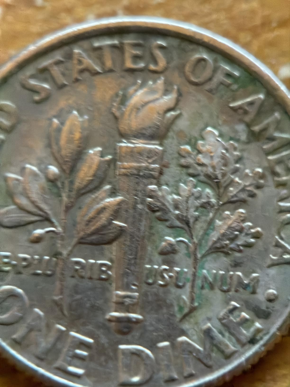 Moment 75mm Macro Lens - T-Series Mobile Lens for Stunning Close-Ups & Fine Detail - Requires Moment Camera Case (II) customer photo 1