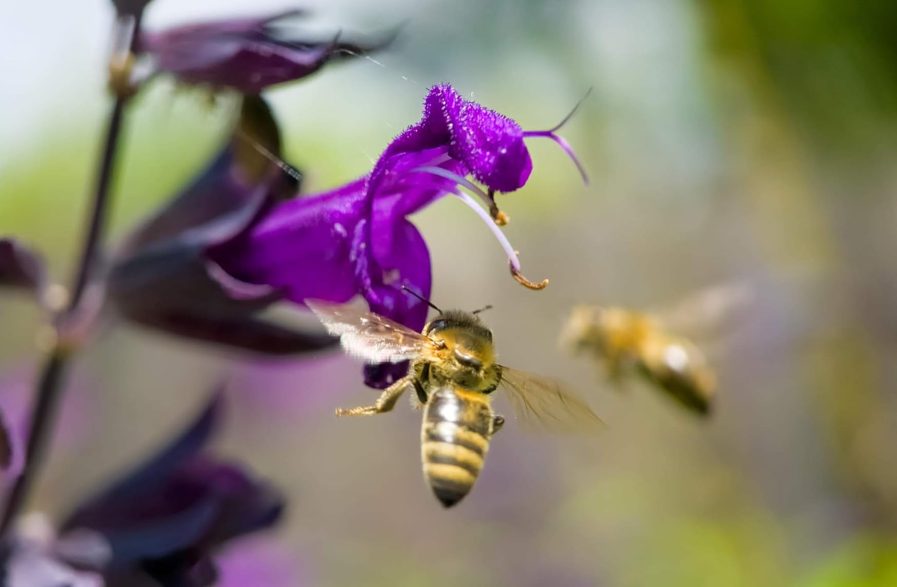 Moment 75mm Macro Lens - T-Series Mobile Lens for Stunning Close-Ups & Fine Detail - Requires Moment Camera Case (II) customer photo 2