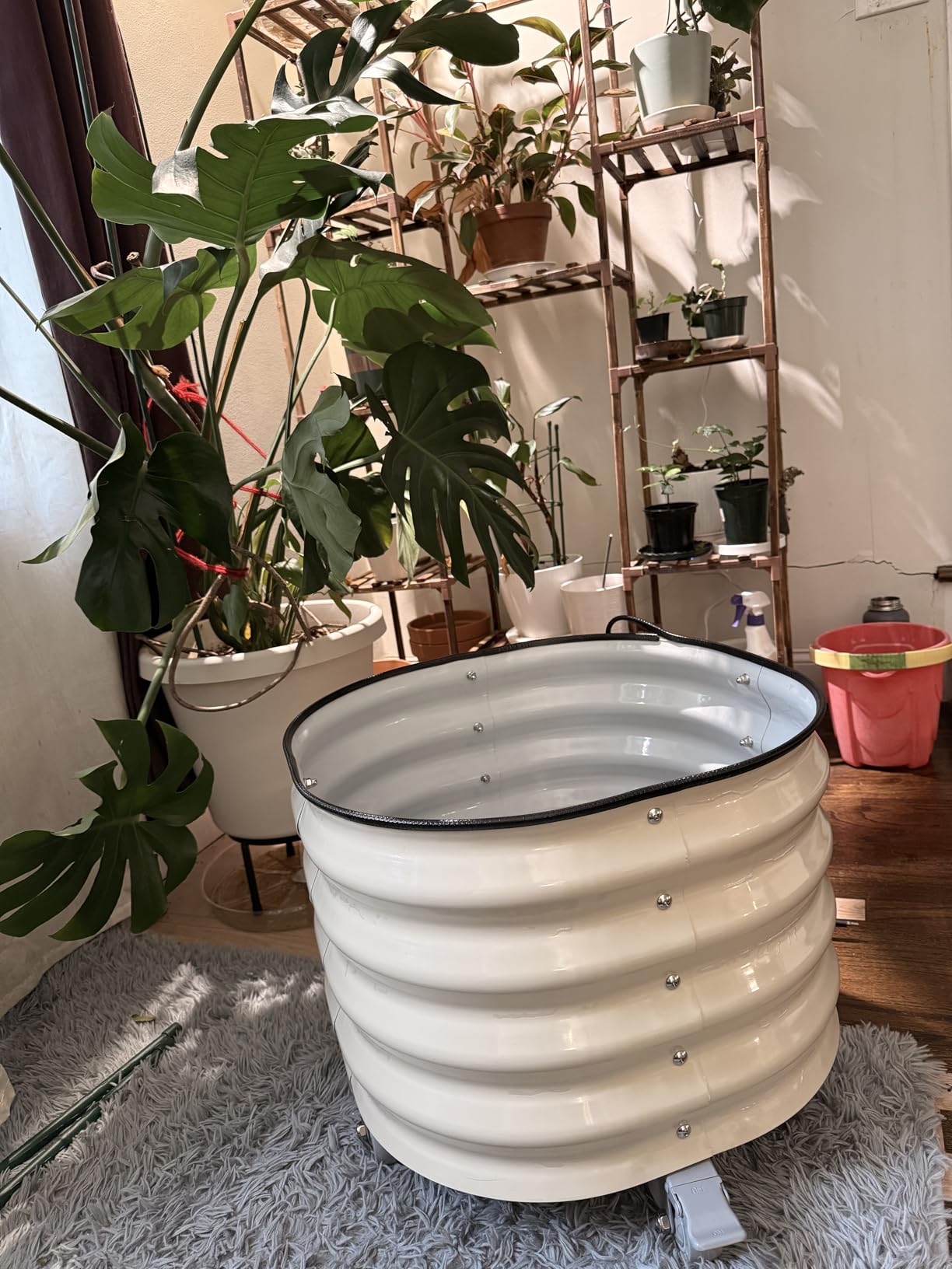 Rolling Metal Citrus Tree Planter Pot, 24