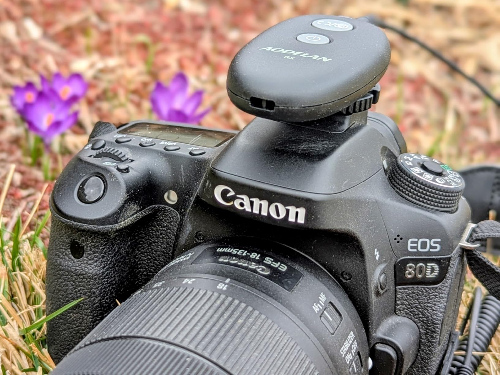 for Canon Cameras Wireless Rechargeable Timer Shutter Release Remote Control with LCD & Upgraded Interval Timer for EOS R6 Mark II, R7, R50 V, R100, RP, Rebel T7, T6, T5, T3, SL2, 5D Mark III customer photo 2