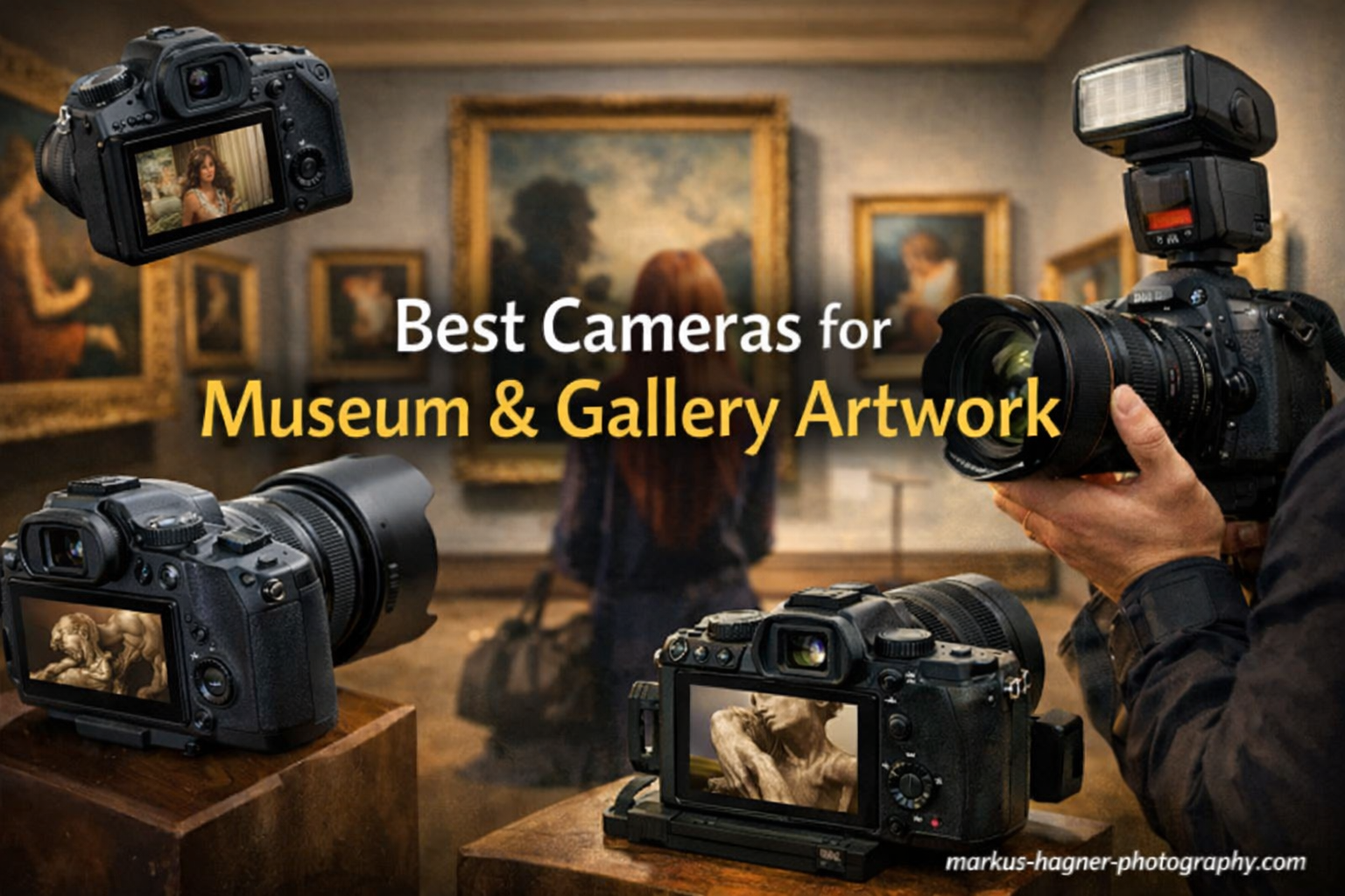 Best Cameras for Museum & Gallery Artwork