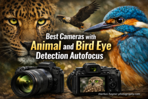Best Cameras with Animal and Bird Eye Detection Autofocus