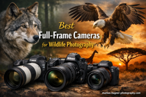 Best Full-Frame Cameras for Wildlife Photography