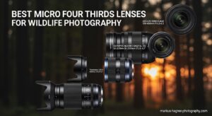 Best Leica M Mount Lenses for Street Photography