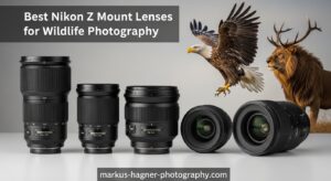 Best Nikon Z Mount Lenses for Wildlife Photography