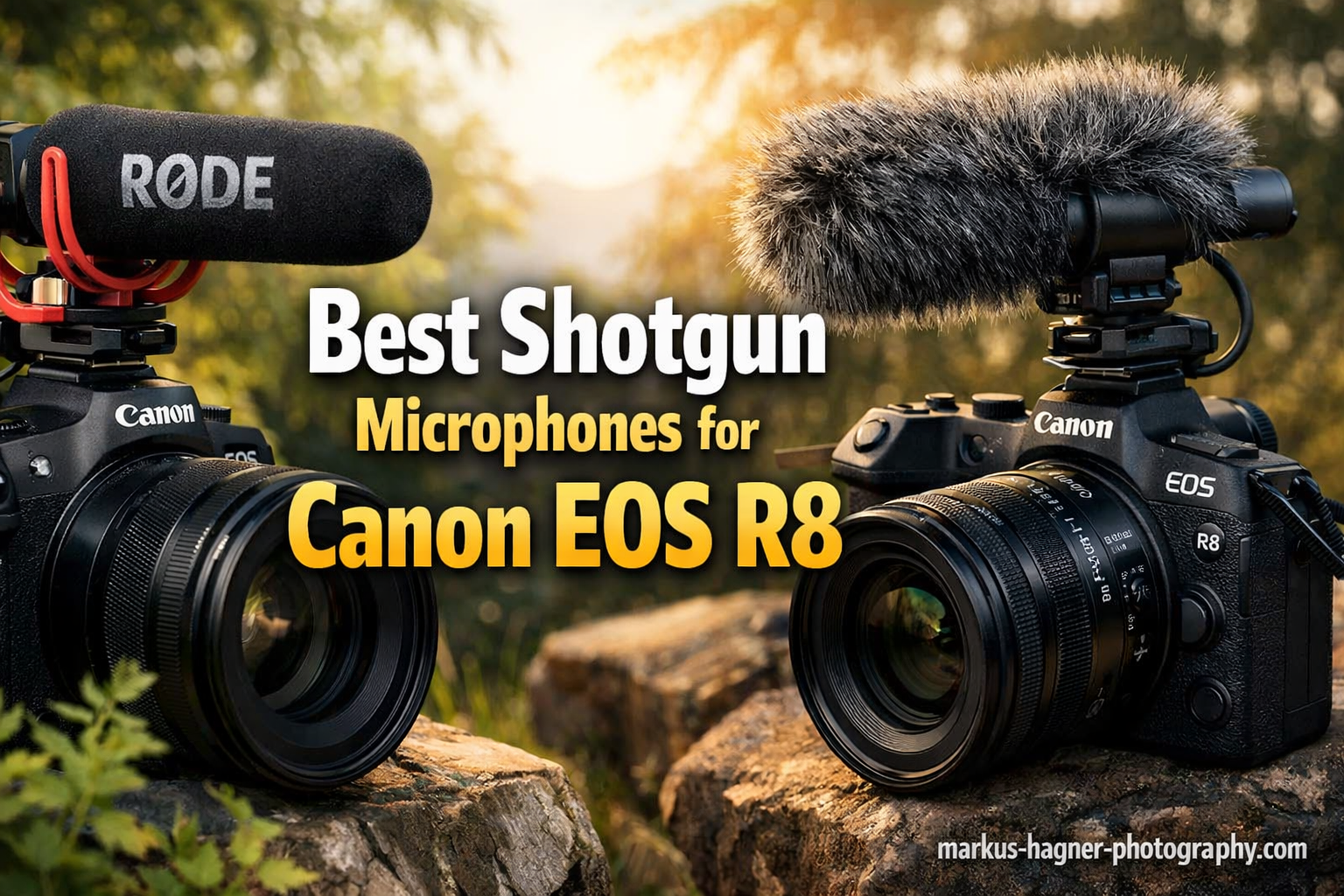 Best Shotgun Microphones for Canon EOS R8