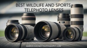 Best Wildlife and Sports Telephoto Lenses