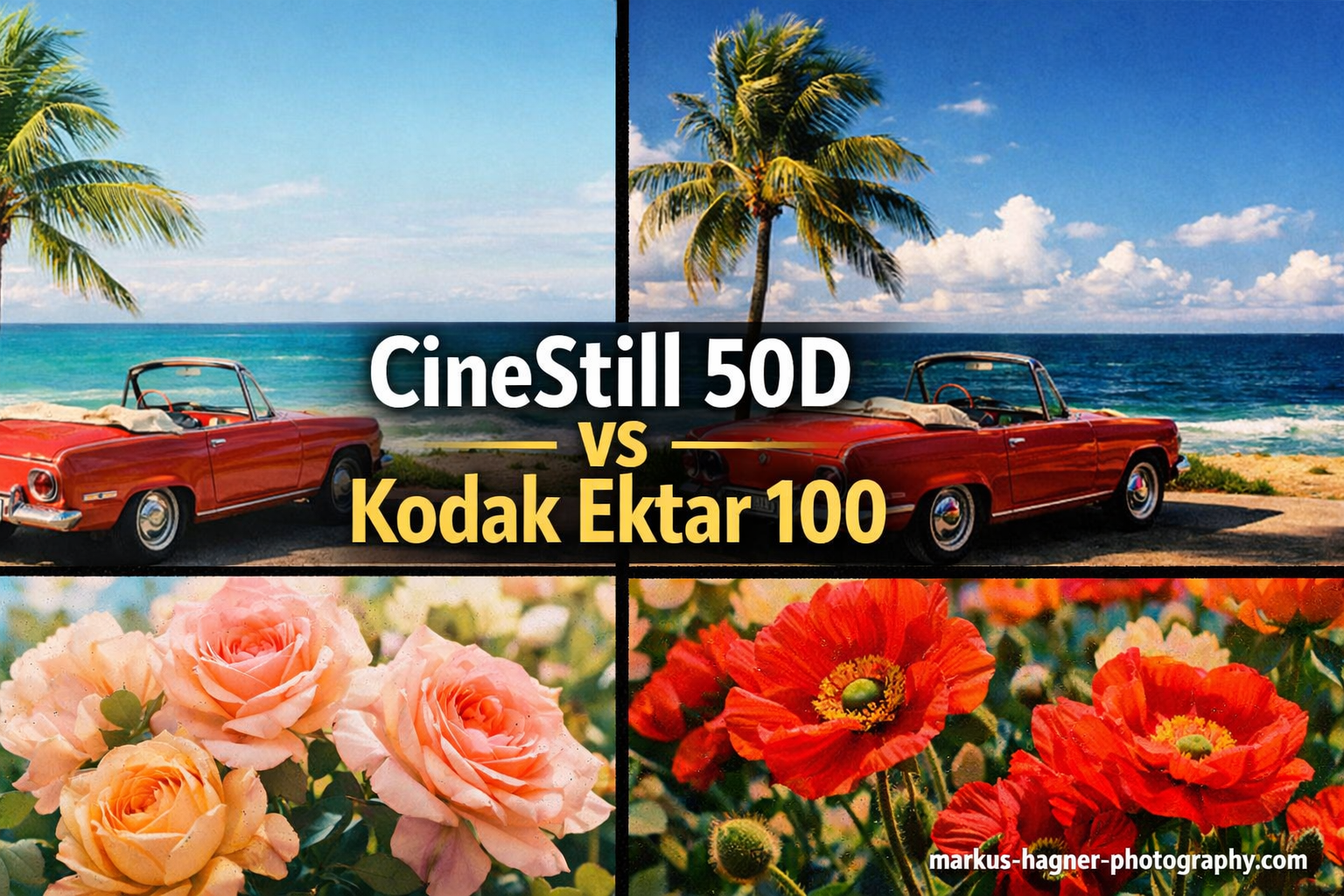 CineStill 50D vs Kodak Ektar 100