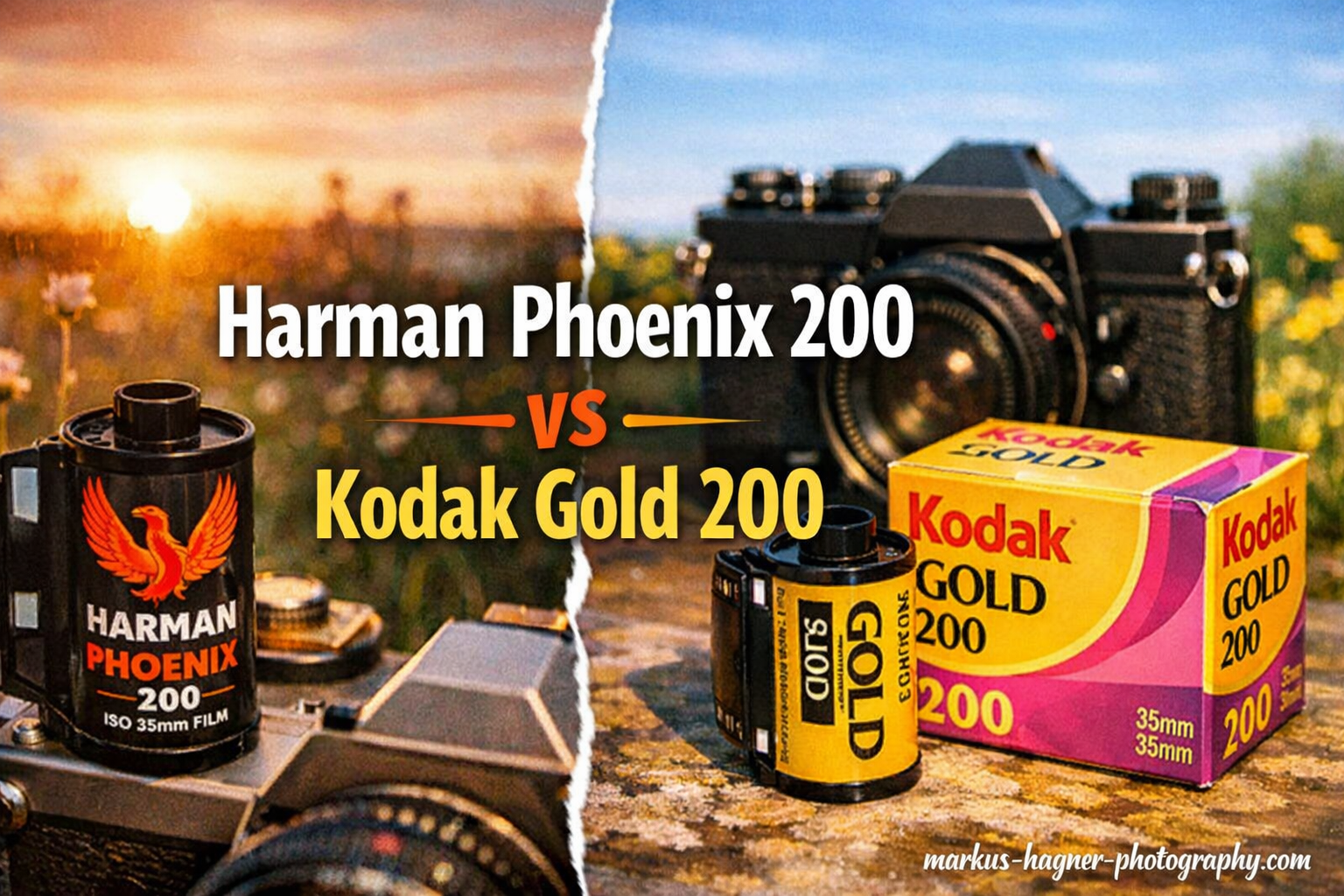 Harman Phoenix 200 vs Kodak Gold 200