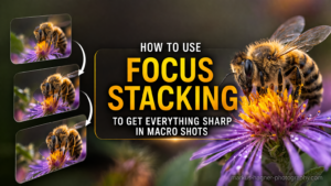 How to Use Focus Stacking to Get Everything Sharp in Macro Shots