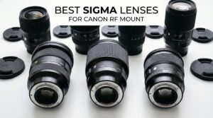 Best Sigma Lenses for Canon RF Mount