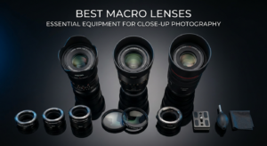 Best Macro Lenses for Insect and Product Photography
