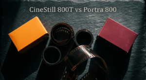 CineStill 800T vs Kodak Portra 800