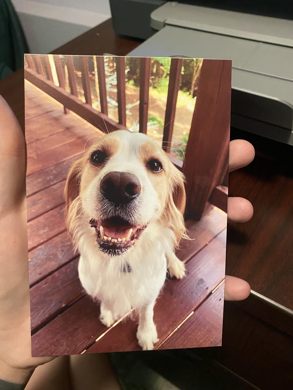 HP Advanced Photo Paper, Glossy, 8.5x11 in, 50 sheets (Q7853A) customer photo 2