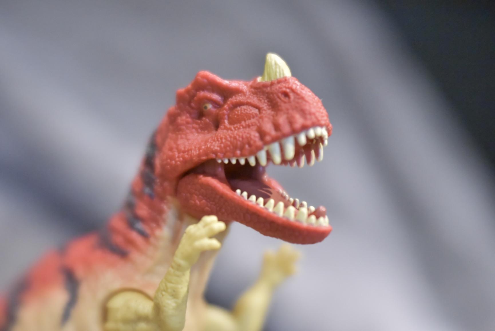 Lensbaby Velvet 56 for Nikon F - Soft and Velvety Effect - Perfect for Macro and Portraits - Glow Effect customer photo 1