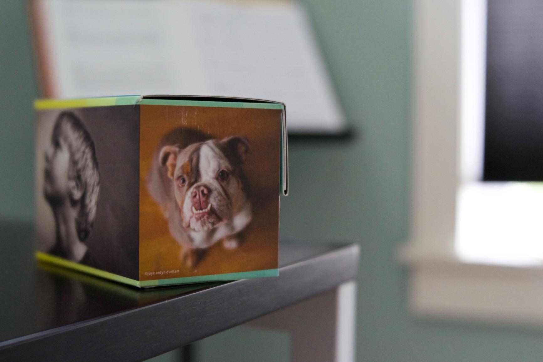 Lensbaby - Velvet 56 - for Sony E - Soft and Velvety Effect - Perfect for Macro and Portraits - Glow Effect customer photo 1