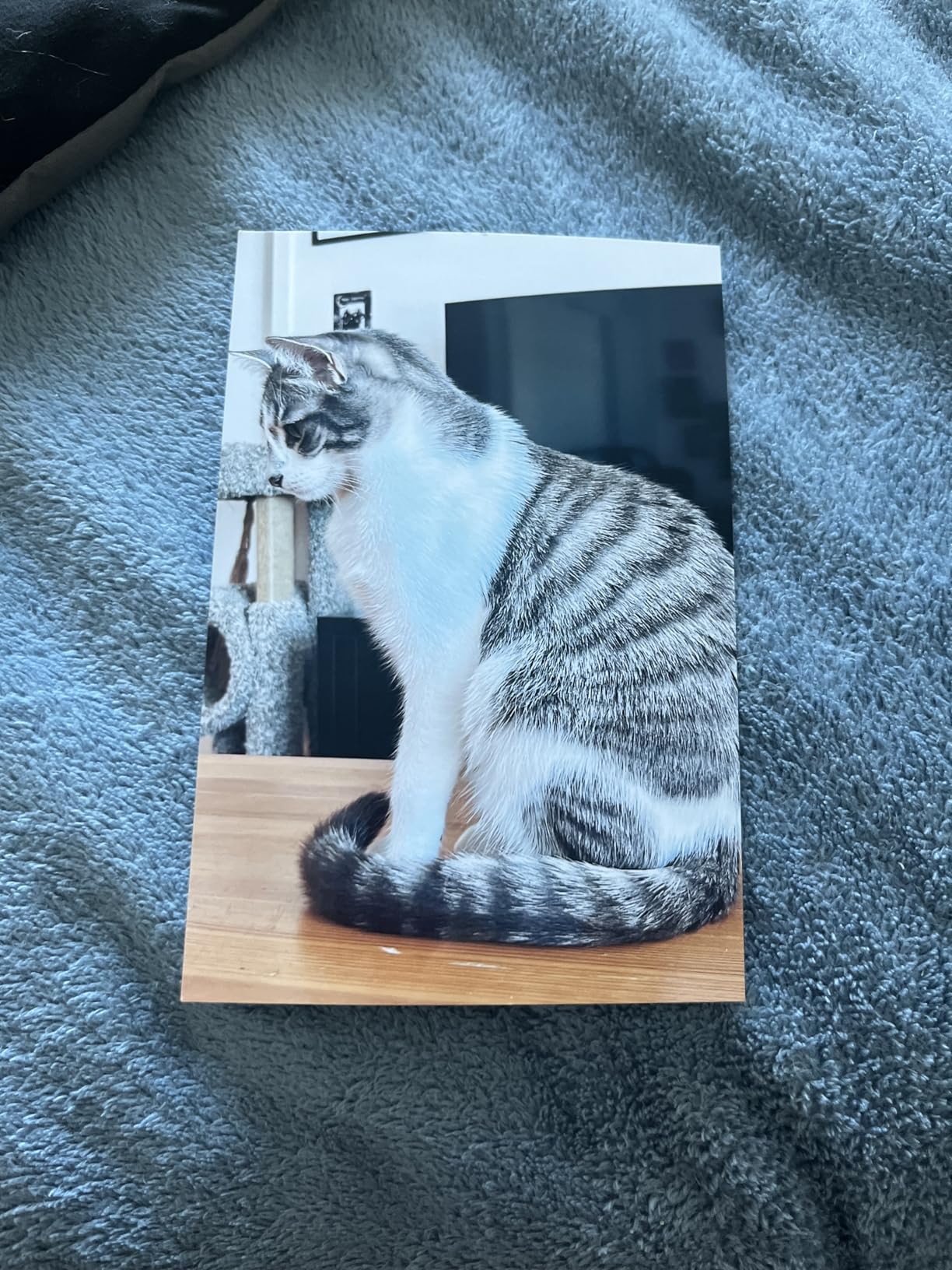 Epson Value Photo Paper Glossy, 4