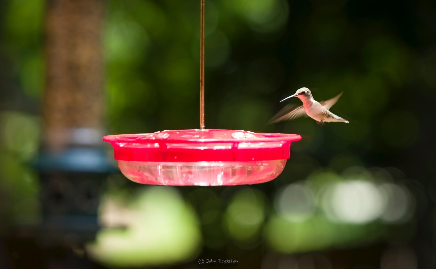 Leica APO-Vario-Elmarit-SL 90-280mm f/2.8-4 Lens customer photo 2