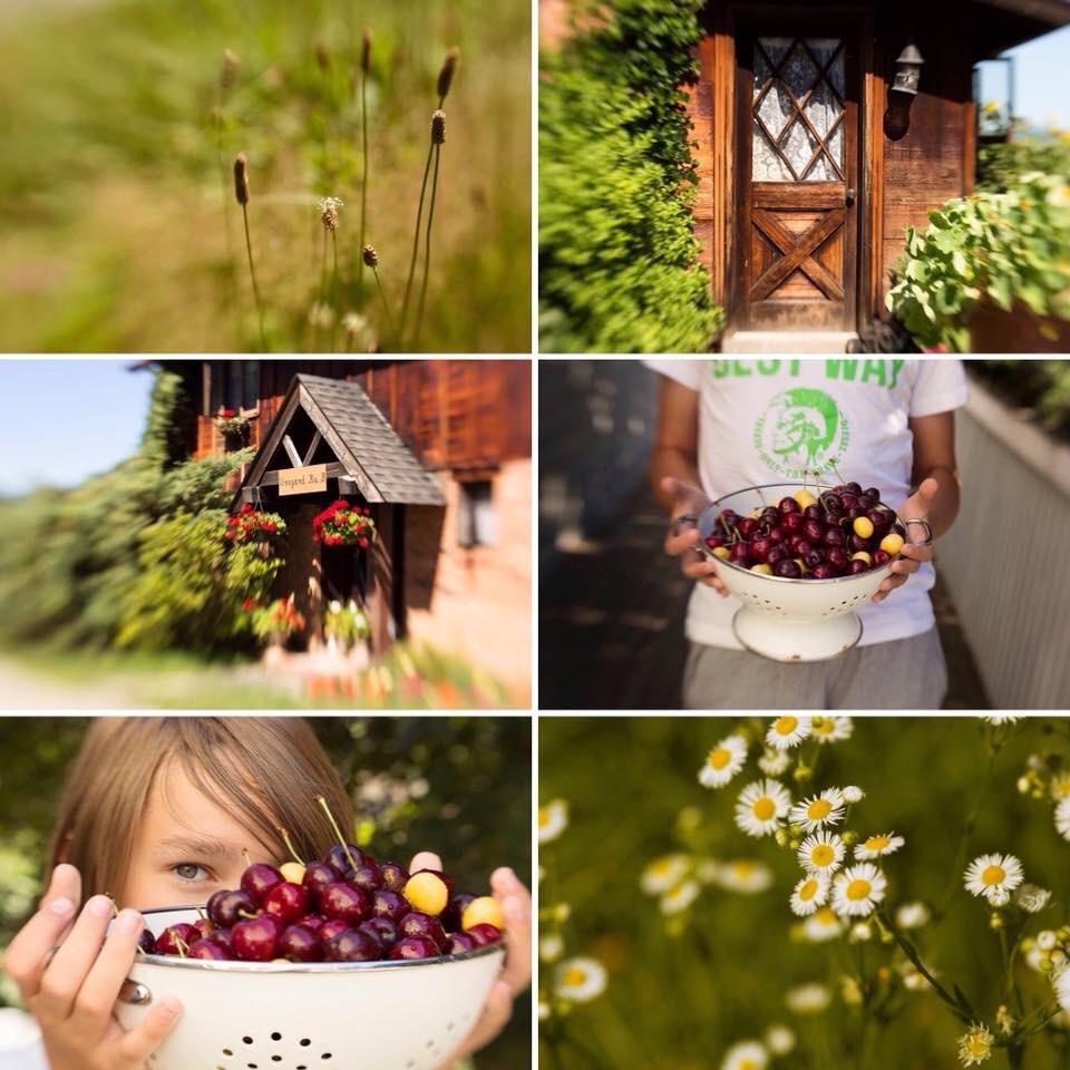 Lensbaby Composer Pro II with Sweet 50 Lens - for Canon EF customer photo 2