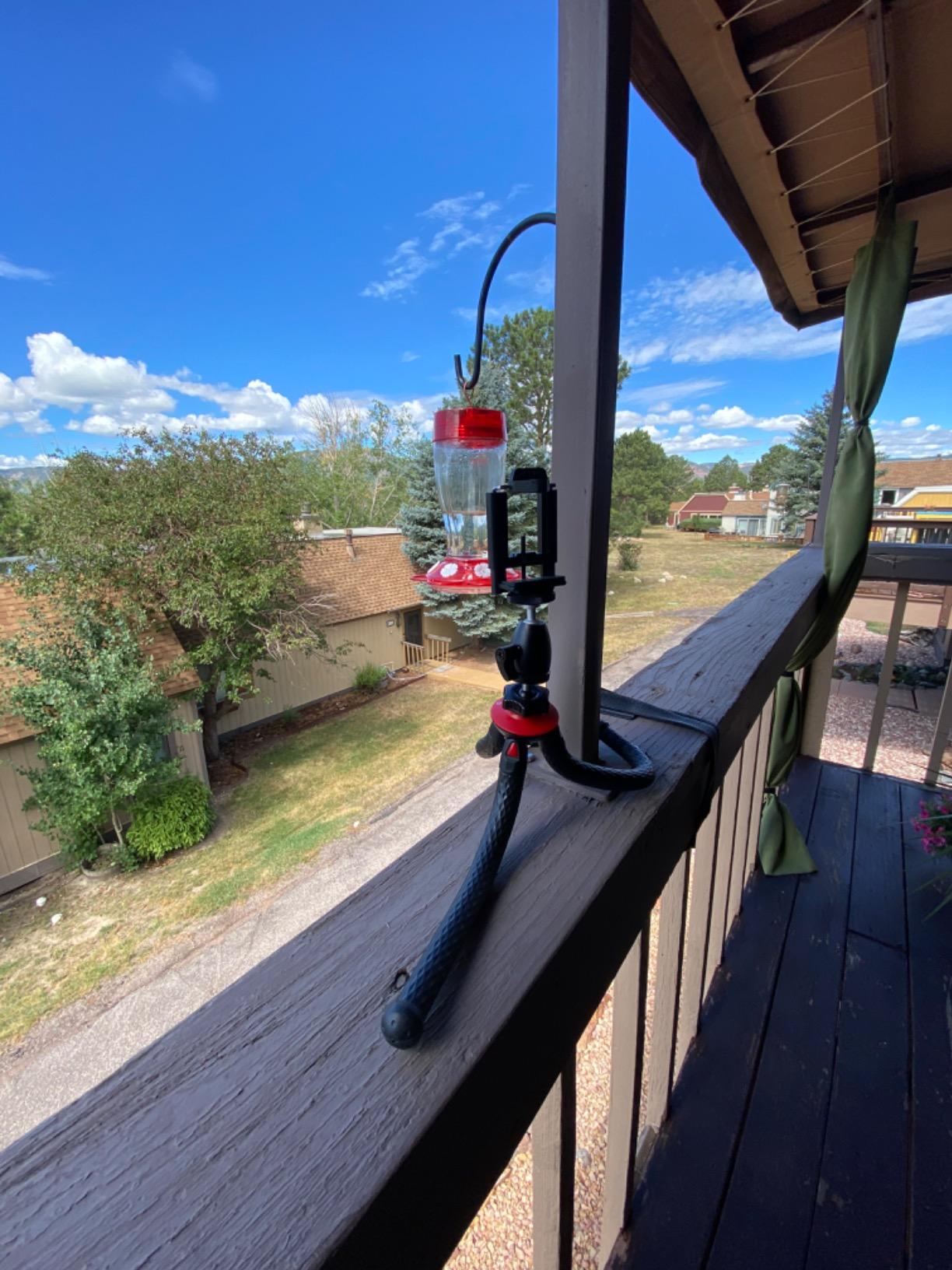 SquidGrip Flexible Cell Phone Tripod and Portable Action Camera Holder - Compatible with iPhone, GoPro, Android, Samsung customer photo 1