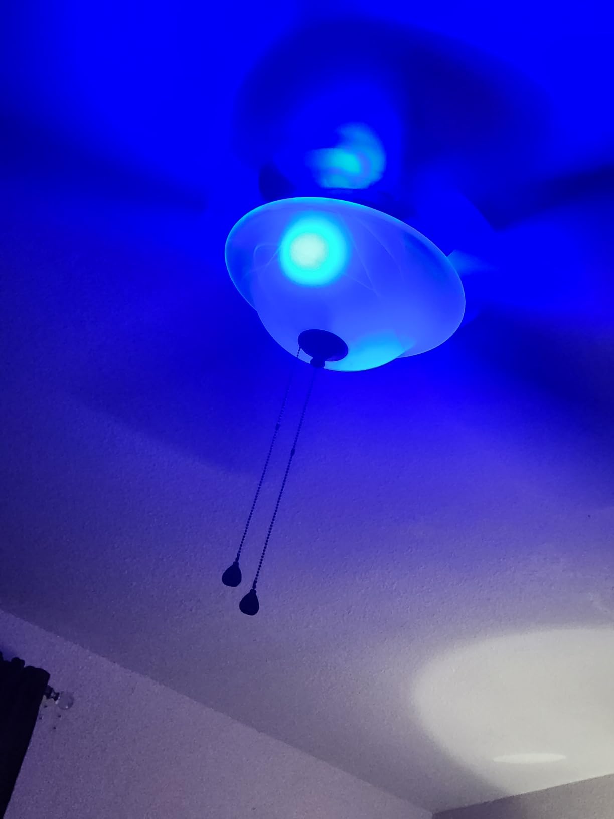ILC LED Color Changing Light Bulb, 120 Colors, 5700K Daylight White, 70 Watt Equivalent with Remote Control RGBW RGB Daylight and White - Timing Function - A19 E26 Edison Screw (2 Pack) customer photo 1