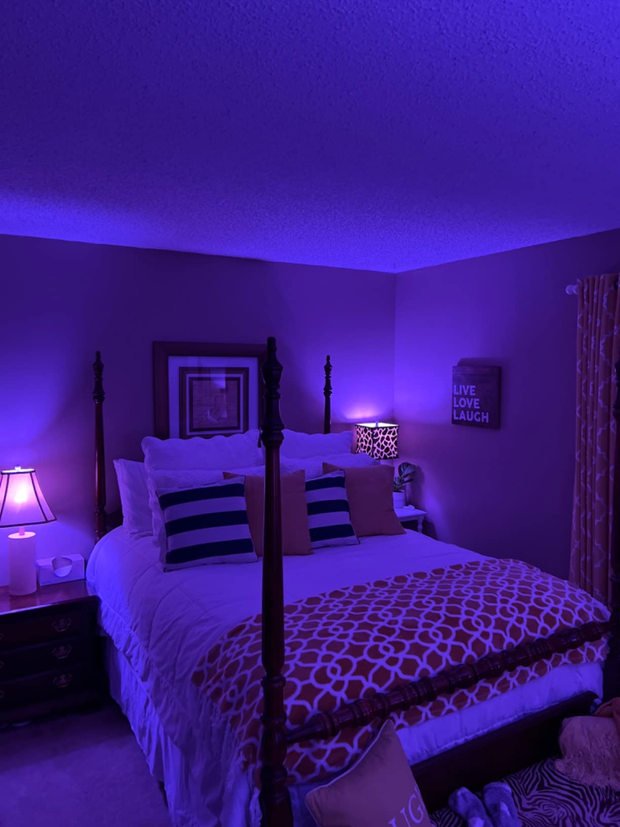 ILC LED Color Changing Light Bulb, 120 Colors, 5700K Daylight White, 70 Watt Equivalent with Remote Control RGBW RGB Daylight and White - Timing Function - A19 E26 Edison Screw (2 Pack) customer photo 2