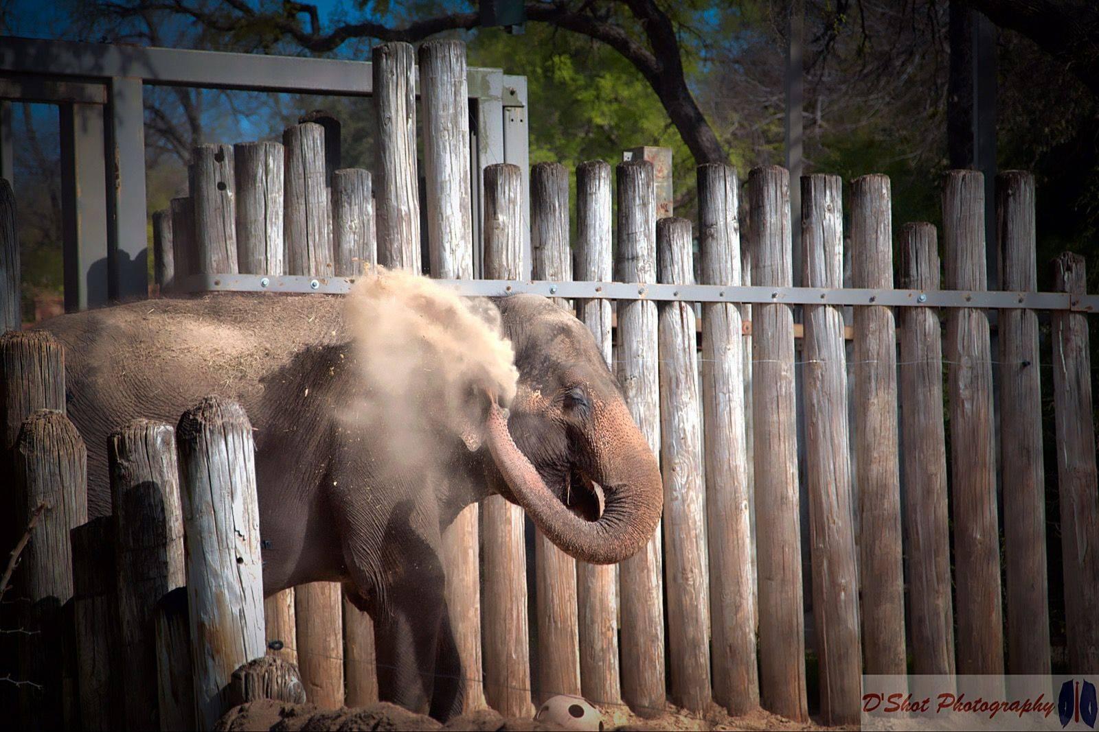 Godox XPro-C TTL Wireless Flash Trigger for Canon Camera, 2.4G X Wireless System, HSS 1/8000s Large Screen Slanted Design, 5 Dedicated Group Buttons, 11 Customizable Functions customer photo 1