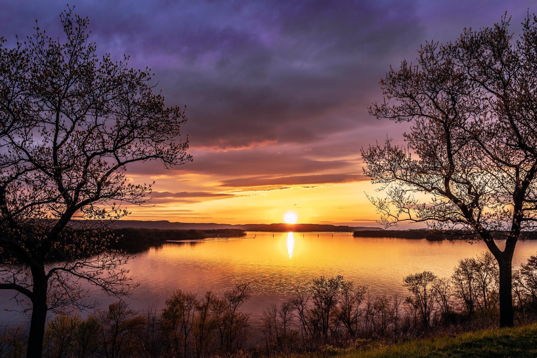 Sigma 24mm F1.4 DG HSM Art Lens for Sony E-Mount customer photo 1