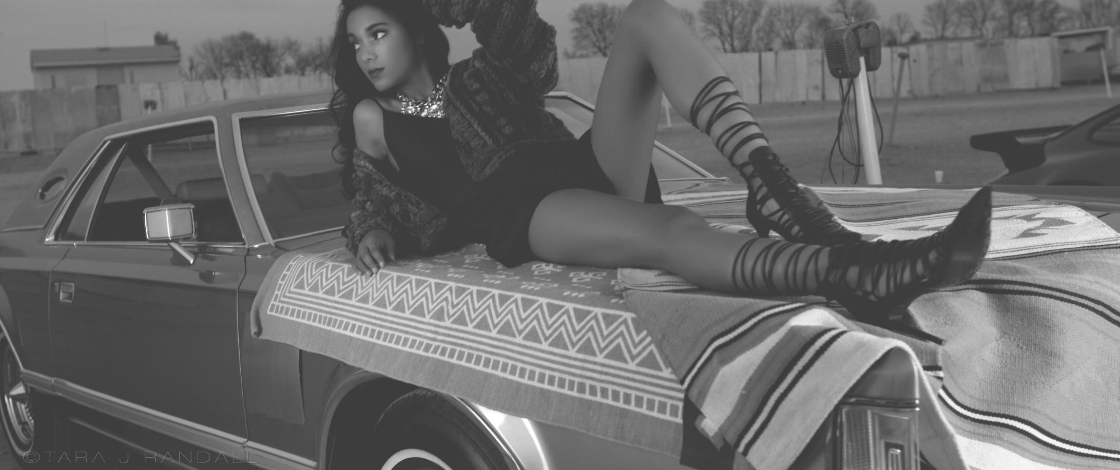 Godox Strip Box 14x63in / 35x160cm Softbox Honeycomb Grid Strip Soft Box Bowens Mount Compatible for Godox SL-60W SL60II SL100 SL300III LE300 LED Light (FW 35x160 2PCS) customer photo 2